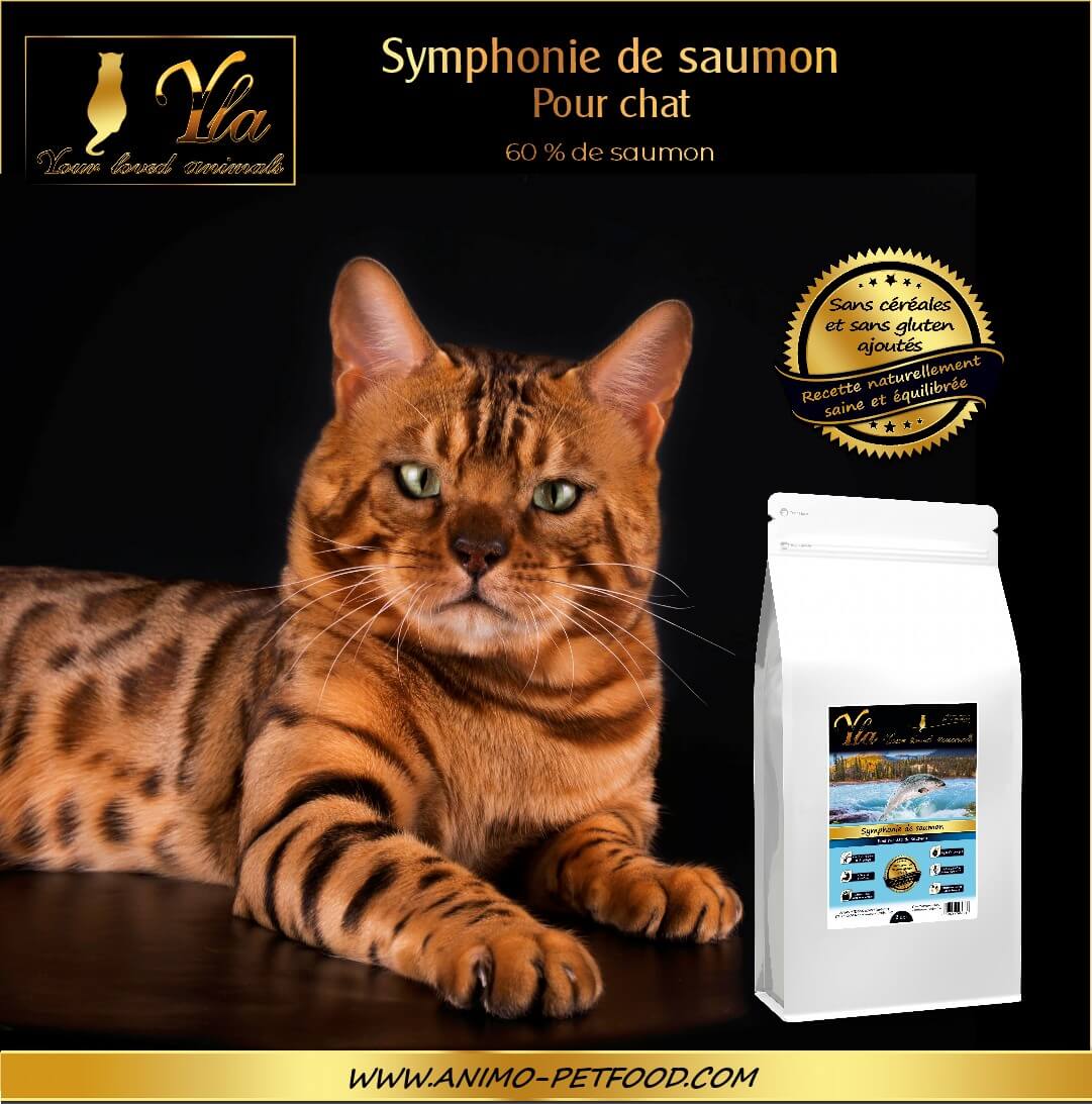 croquettes hypoallergéniques pour chat